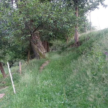 Lejlighed Makowy Dom *
